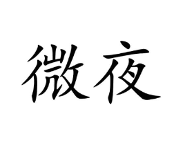 微夜商标原图 第03类化妆品