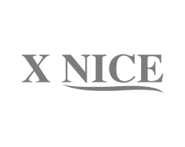 X NICE商标原图 第03类化妆品