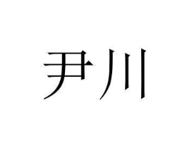 尹川商标原图 第03类化妆品