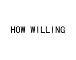 HOW WILLING商标原图 第03类化妆品