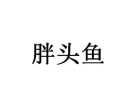 胖头鱼商标原图 第03类化妆品