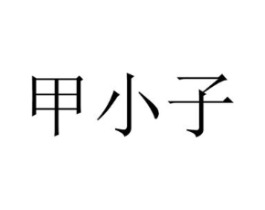 甲小子商标原图 第03类化妆品