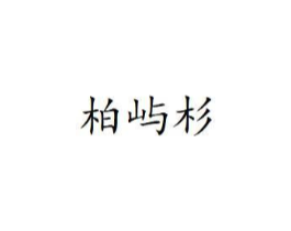 商标原图