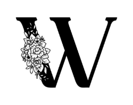 W商标原图 第03类化妆品