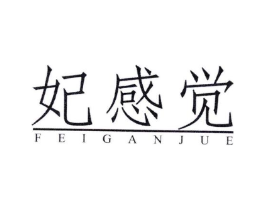 妃感觉商标原图 第03类化妆品