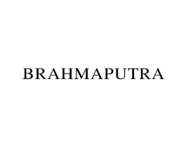BRAHMAPUTRA商标原图 第03类化妆品