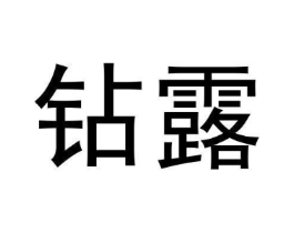 钻露商标原图 第03类化妆品