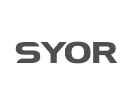 SYOR商标原图 第03类化妆品