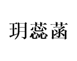 商标原图