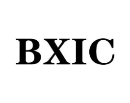 BXIC商标原图 第03类化妆品
