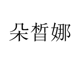 朵晳娜商标原图 第03类化妆品