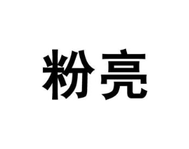 粉亮商标原图 第03类化妆品