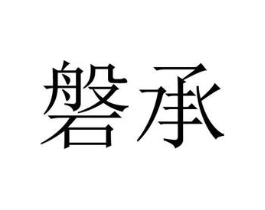 磐承商标原图 第03类化妆品