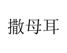 撒母耳商标原图 第03类化妆品