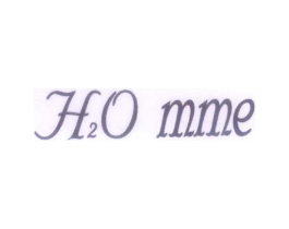 H2O MME商标原图 第03类化妆品