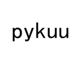 PYKUU商标原图 第03类化妆品