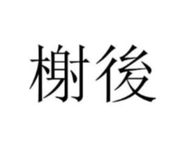 商标原图