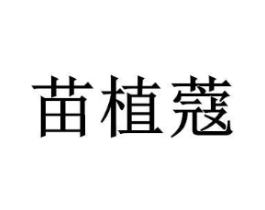 商标原图