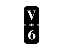 V 6商标原图 第03类化妆品