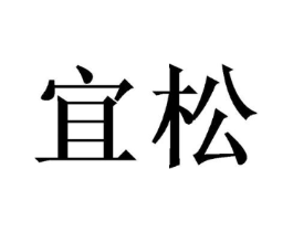 宜松商标原图 第03类化妆品