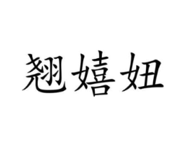 商标原图