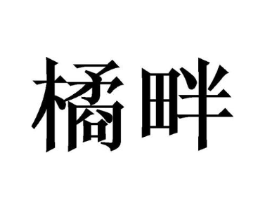 商标原图