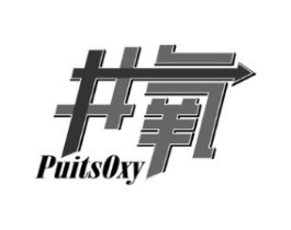 井氧 PUITSOXY商标原图 第03类化妆品