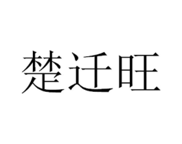 商标原图