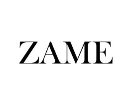 ZAME商标原图 第03类化妆品