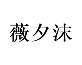 薇夕沫商标原图 第03类化妆品