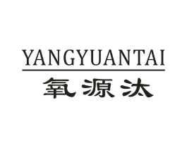 氧源汰商标原图 第03类化妆品