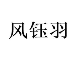 风钰羽商标原图 第03类化妆品