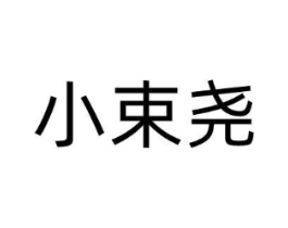 小束尧商标原图 第03类化妆品