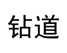 钻道商标原图 第30类小食配料