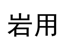 岩用商标原图 第30类小食配料