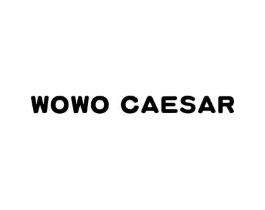 WOWO CAESAR商标原图 第30类小食配料