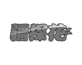 疆探花商标原图 第30类小食配料