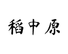 稻中原商标原图 第30类小食配料