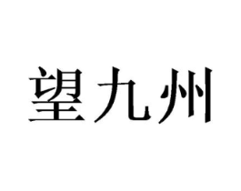 望九州商标原图 第30类小食配料