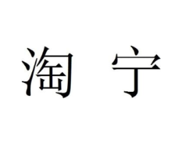 淘宁商标原图 第30类小食配料