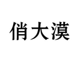 俏大漠商标原图 第30类小食配料