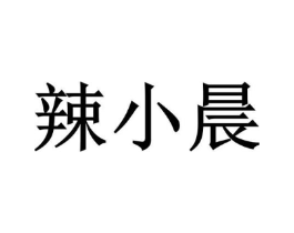辣小晨商标原图 第30类小食配料
