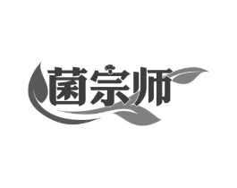 菌宗师商标原图 第30类小食配料