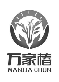 万家椿