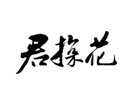 商标原图