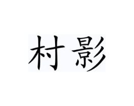 村影商标原图 第35类广告贸易