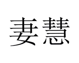 妻慧商标原图 第35类广告贸易
