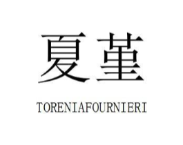 夏堇 TORENIAFOURNIERI商标原图 第35类广告贸易