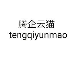 腾企云猫商标原图 第35类广告贸易