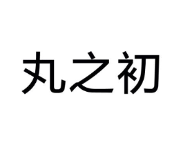 丸之初商标原图 第35类广告贸易